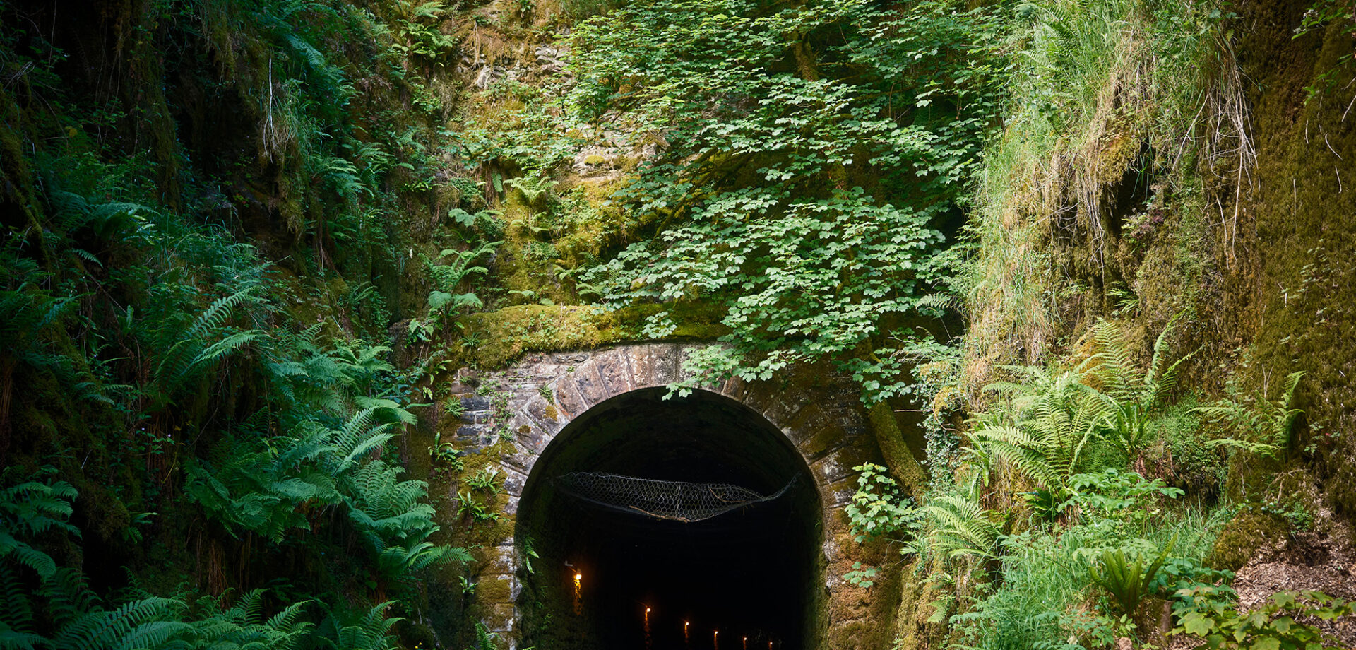 A paved road leads into a dark tunnel beneath a lush, fern-covered hillside, surrounded by dense green vegetation.